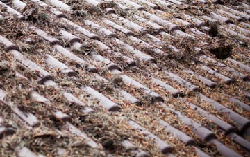 Grange Villa roof cleaning companies